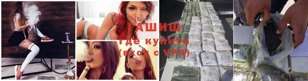 стафф Армянск